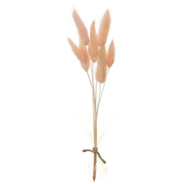 Allstate Preserved Foxtail Grass Bundle 9" - Uncategorized Silk