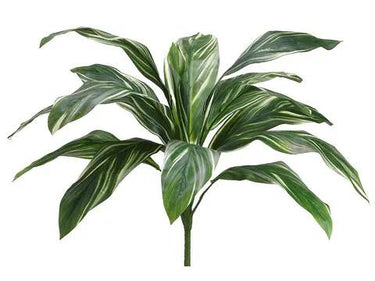 Allstate Cordyline Bush Green-White 26" - Uncategorized Silk