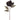 Allstate Black Peony Stem 18.5" - Artificial Flora Silk