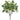 Allstate Fittonia Leaf Bush 18" - Uncategorized Silk