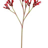 Winward Kangaroo Paw Spray Red - Artificial Flowering Plants Silk