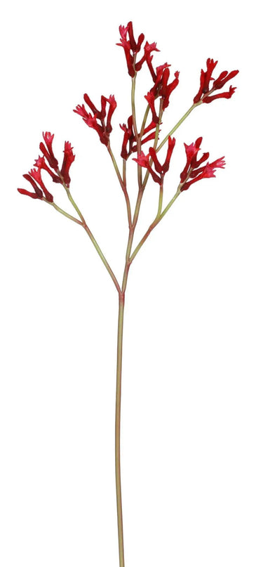 Winward Kangaroo Paw Spray Red - Artificial Flowering Plants Silk
