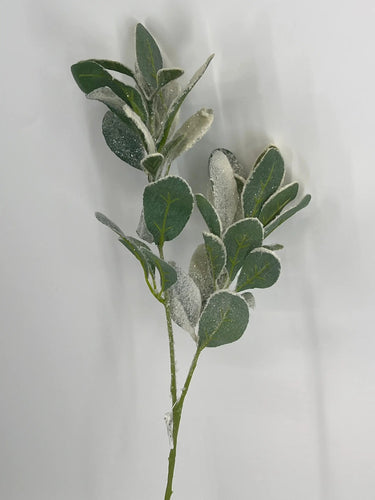 Supreme Lambs Ear Spray w/ Snow 28" - Uncategorized Silk