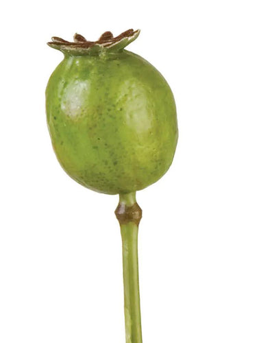 AmBest Large Poppy Pod Green 19.5" - Uncategorized Silk