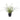 Allstate Lily Turf Grass in Plastic Pot 18" - Artificial Non-Flowering Plants Silk