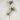 Supreme Magnolia Spray 37" - Artificial Flowering Plants Silk