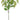 Select Mini Amaranthus Green 35" - Artificial Non-Flowering Plants Silk
