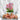 FreshCut Paper LLC Mini Orchid Oasis Pop-Up Greeting Card - Greeting Cards Merchandise