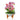 FreshCut Paper LLC Mini Orchid Oasis Pop-Up Greeting Card - Greeting Cards Merchandise