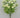Golden Bell Mini Ranunculus Bush Cream 16" - Artificial Flowering Plants Silk