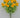Golden Bell Mini Ranunculus Bush Yellow 16" - Artificial Flowering Plants Silk