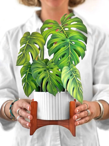 FreshCut Paper LLC Monstera Pop-Up Greeting Card - Greeting Cards Merchandise