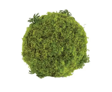 Select Moss Ball 5"D - Uncategorized Silk