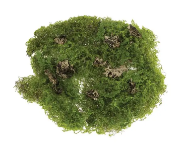 Select Moss Mat 11" - Uncategorized Silk