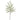 Muehlenbeckia Wire Spray Green 37" - Evergreen Home and Floral