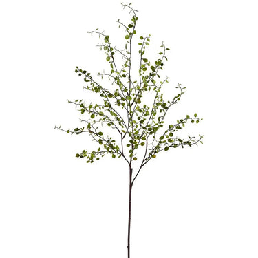 Muehlenbeckia Wire Spray Green 37" - Evergreen Home and Floral