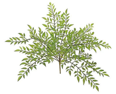 Select Nandina Leaf Bush 15" - Uncategorized Silk