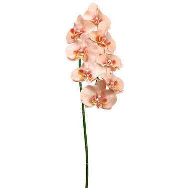 Allstate Phalaenopsis Orchid Spray Light Peach 40" - Artificial Flowering Plants Silk