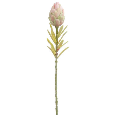 Allstate Protea Spray Pink-Green 22" - Uncategorized Silk