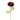 Winward Ranunculas Stem Burgundy 22'' - Uncategorized Silk