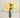 Supreme Ranunculus Bouquet x9 Yellow 10" - Artificial Flowering Plants Silk