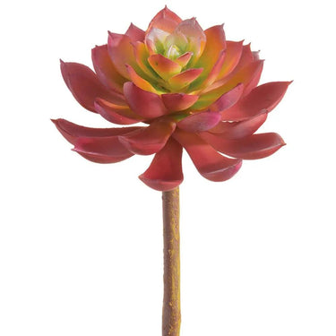 Allstate Real Touch Echeveria Pick Red-Green 7" - Artificial Non-Flowering Plants Silk