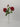 Select Real Touch Rose Spray Red 26" - Silk