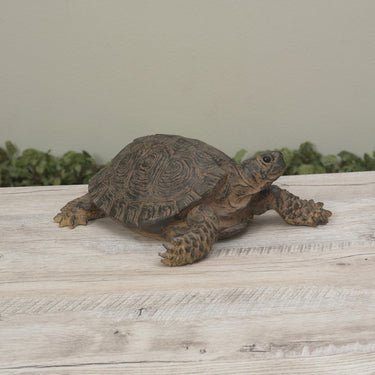 Realistic Resin Turtle 10.63"L - Evergreen Home and Floral