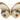 Melrose Resin Brown Butterfly (2 Sizes) 4"L, 5"L Resin - Figurines Merchandise