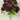 Golden Bell Rose Bud Bush Burgundy 19" - Artificial Flowering Plants Silk