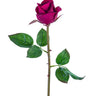 AmBest Rose Bud Stem Burgundy 23" - Artificial Flowering Plants Silk