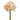 Allstate Rose Bundle Pink-Cream 7.5" - Artificial Flowering Plants Silk