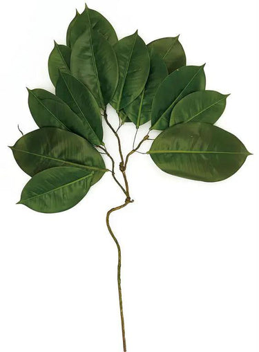 Select Rubber Leaf Spray 26" - Uncategorized Silk