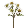Allstate Rudbeckia Spray White 20.5" - Artificial Flowering Plants Silk