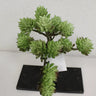 Supreme Sedum Pick Green 5" - Artificial Non-Flowering Plants Silk