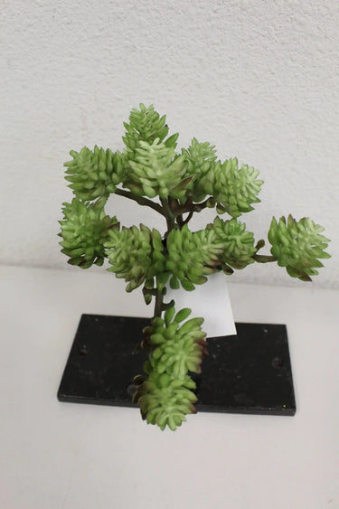 Supreme Sedum Pick Green 5" - Artificial Non-Flowering Plants Silk