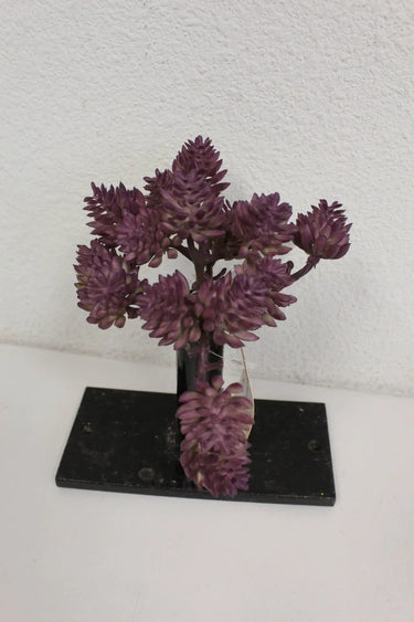 Supreme Sedum Pick Purple 5" - Artificial Non-Flowering Plants Silk