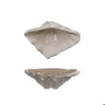 Hazel Mazel Shell Stoneware Bowl 1.75" x 5.25"H - Bowls Merchandise