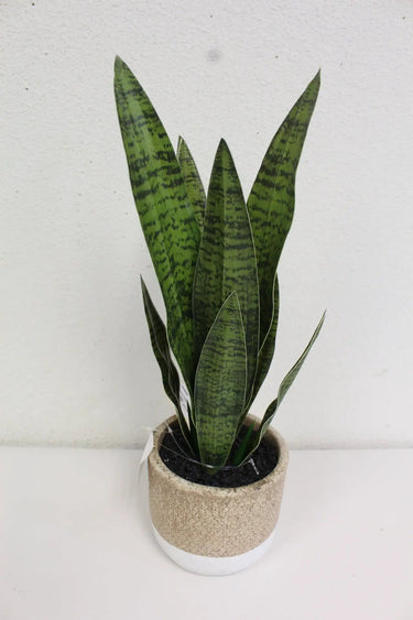 Supreme Snake Plant with Pot 17.75" - Artificial Non-Flowering Plants Silk