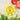 Spongelle Spongelle Wild Flower Sweet Patchouli 14+ Wash 3oz - Bath & Body Bath & Body