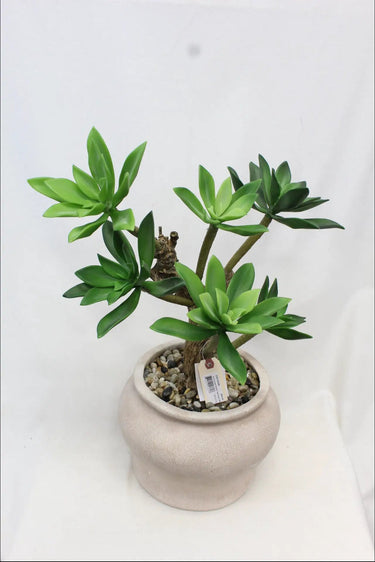 Supreme Succulent w/ Pot 16" x 12" x 23.75" - Artificial Non-Flowering Plants Silk