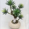 Supreme Succulent with Pot 14" x 12" x 25" - Artificial Non-Flowering Plants Silk