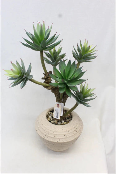 Supreme Succulent with Pot 14" x 12" x 25" - Artificial Non-Flowering Plants Silk