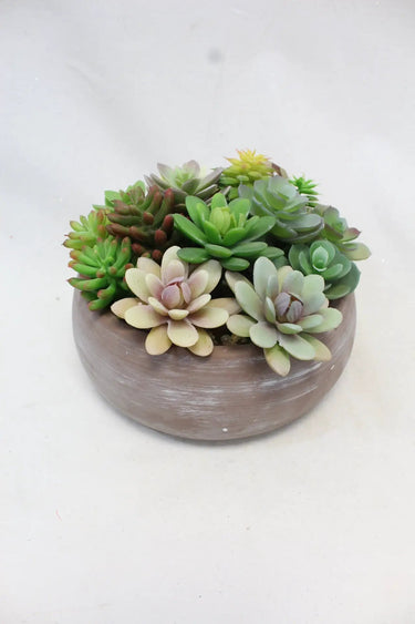 Supreme Succulent with Pot 8" x 8" x 5.5" - Artificial Non-Flowering Plants Silk