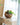 A&B Teak Bowl 12" x 11" - Decorative Bowls Merchandise