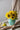A&B Teal Terracotta Pitcher Vase 8" x 7" x 9" - Vases Merchandise