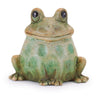 Terracotta Green Frog (2 Sizes) - Evergreen Home and Floral