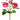 AmBest UV Cabbage Rose Spray Hot Pink 24" - Artificial Flowering Plants Silk