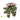 Regency UV Geranium Hanging Bush Peach 27" - Silk