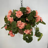 Evergreen Home and Floral UV Geranium Peach Hanging Basket - Uncategorized